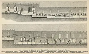 Pork: FROM PIG TO PORK 1897