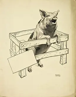 Hutch: A Pig rears up out of a small pen