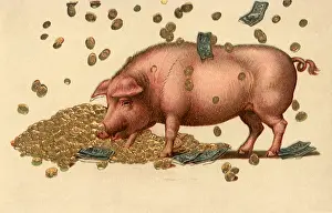 Wallowing: Pig Wallowing in Cash