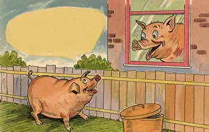 Enthusiastically: Pig at Window