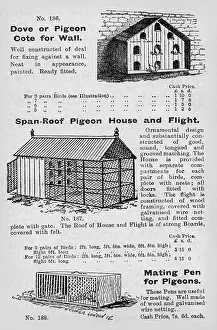 Cotes: Pigeon cotes