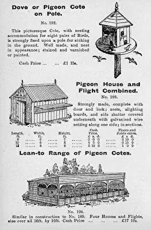 Cotes: Pigeon cotes