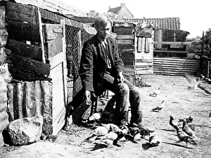 Fancier: Pigeon fancier