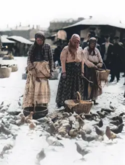 Alexander Meledin: Pigeon Feeding - Moscow