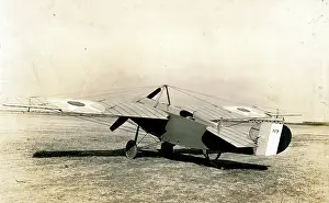 Langley: Pigeon Scout