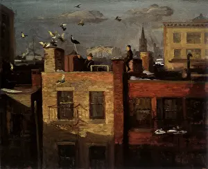 Sloan: Pigeons