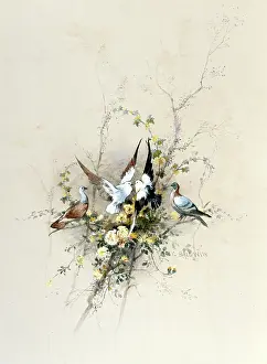 Baldwyn: Pigeons Perching on a Rosebush