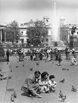 Squatting: PIGEONS TRAFALGAR 1950