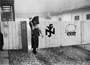 Pork: Piggery of the NSV in Berlin, 1936