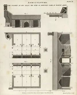 Elevations: Piggery at Woburn Abbey