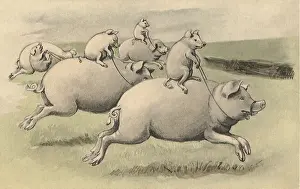 Piglets: Piggyback Riding