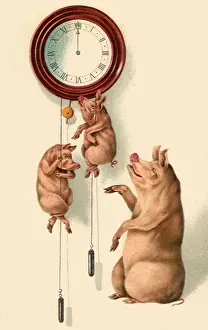 Syne: Piglets on Weights