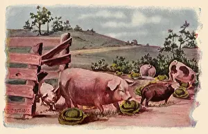 Illustrat: Pigs in Cabbage Patch