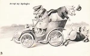 Apologies: Pigs in a car on a postcard
