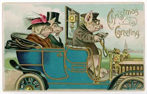 Spin: Pigs - Chauffeured Car