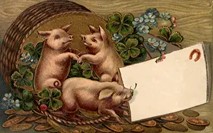 Clover: Pigs, Clover and Gold