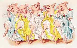 Hopping: Five pigs dancing the cancan on a French postcard