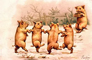 Piping: Pigs dancing in the snow