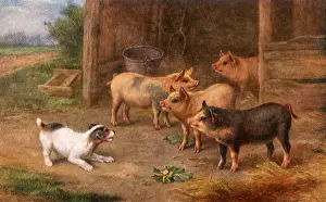 Barnyard: Four Pigs and Dog