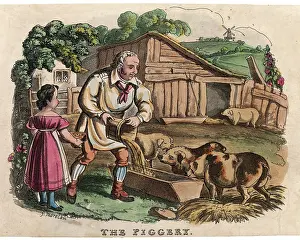 Swill: PIGS AT FEEDING TIME