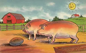Graduate: Pigs and Football