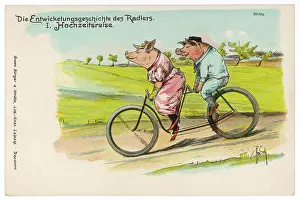 Craze: Pigs on Honeymoon