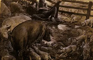 Piglets: Pigs and man