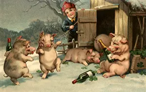 Syne: Pigs on New Year's