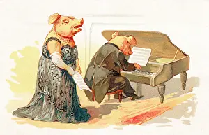 Vocalist: Two pigs performing in a concert