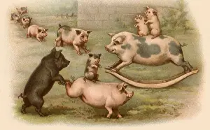 Illustr: Pigs Playing