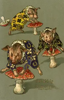 Ruffled: Pigs Playing Leapfrog