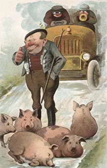 Laughs: Pigs in the Road