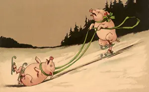 Linked: Pigs Skating