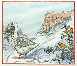 Sledging: Pigs sledging