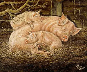 Piglets: Pigs ' sow with two piglets