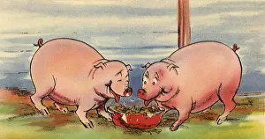 Swill: Two Pigs and Swill