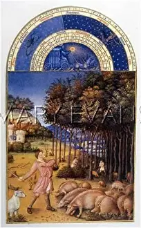 Acorns: PIGS & SWINEHERD 15C