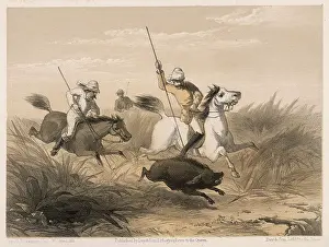 Sticking: Pigsticking, India