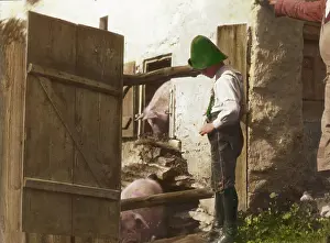 Pigsty: At the pigsty