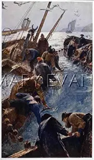 Pilchard: Pilchard fishing in Cornwall, c.1880