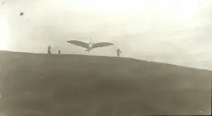 Pilcher Bat in the air