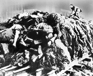 Corpses: A pile of bodies before cremation in Dresden, 1945