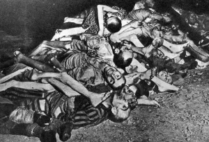 Piled: Pile of corpses of prisoners in a concentration camp
