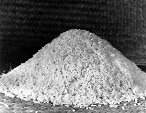 Carbohydrate: A PILE OF RICE
