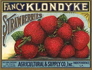 Strawberries: Pile of Strawberries
