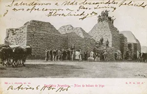Mounds: Piles of Bags of Wheat - Argentina