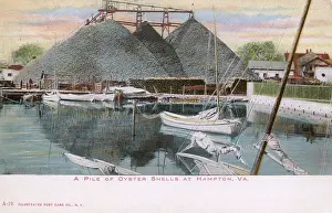 Shellfish: Piles of oyster shells, Hampton, Virginia, USA