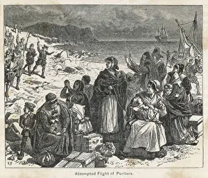 Shipload: PILGRIMS IN HOLLAND