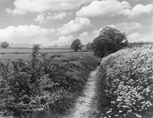 Aylesford: PILGRIMS WAY