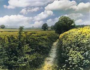 Aylesford: PILGRIMS WAY